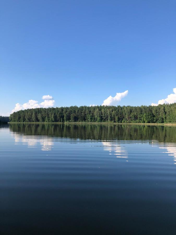 Вилла Pod Lipa Ручане-Нида Экстерьер фото